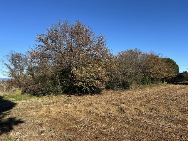 阿見町実穀５０２坪