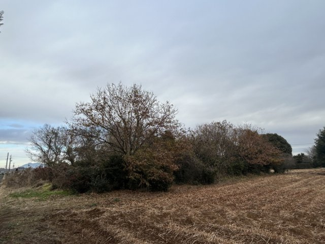 阿見町実穀５０２坪の外観