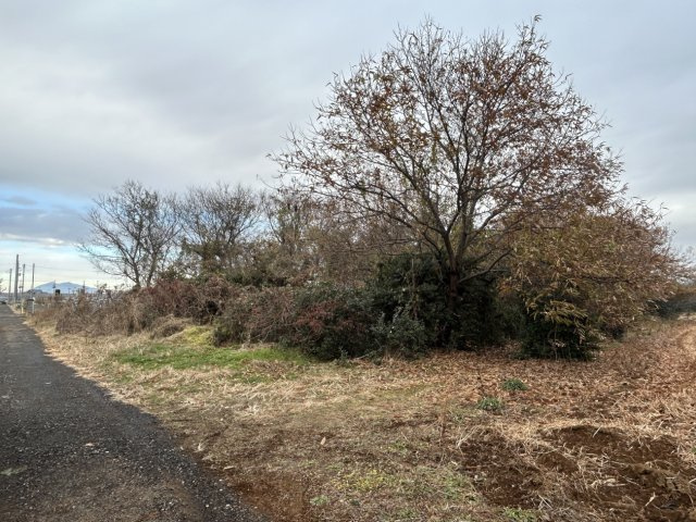 阿見町実穀５０２坪の外観