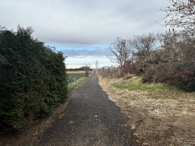 阿見町実穀５０２坪のその他|前面道路