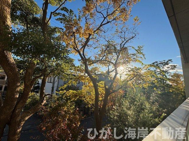 グランドメゾン東海岸南の展望|新規リフォーム完了！バルコニーからの眺望