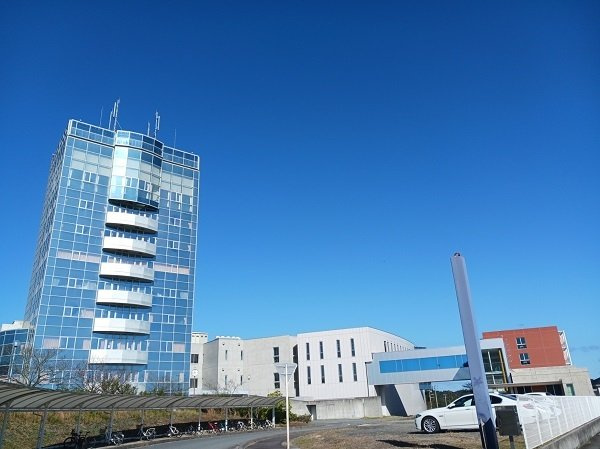 レジデンスディスコの周辺|秀英高校まで160m