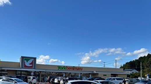 レジデンスディスコの周辺|ヨークベニマルまで1500m