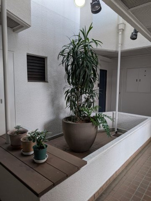 【エントランス】 | モナークマンション松庵