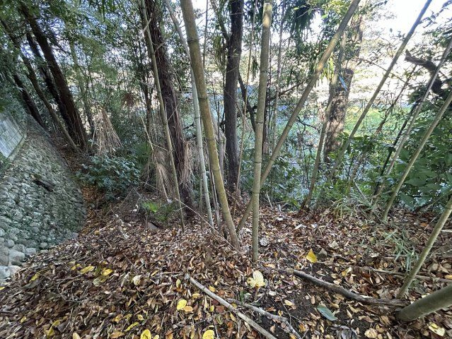 沼部町金山 売土地の周辺