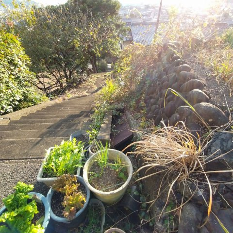 ６４４４８　岐阜市上土居土地の周辺