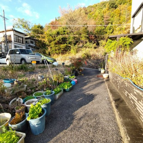 ６４４４８　岐阜市上土居土地の周辺