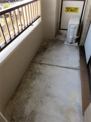 【バルコニー】 | 杉の杜ハイツ