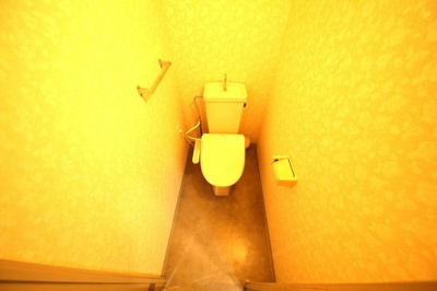 【トイレ】 | パレドール久喜Ⅲ | トイレも気になるポイント