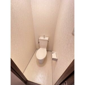 第2メゾンたけ宗のトイレ