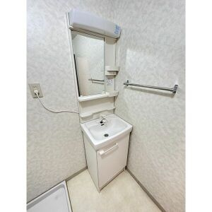 第2メゾンたけ宗の洗面所