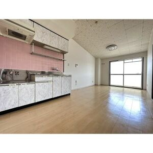 第2メゾンたけ宗のキッチン