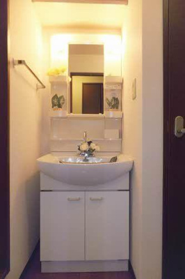 【洗面所】 | レイクサイド玉湯Ｂ