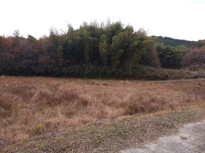 【外観】 | 柳井・伊陸