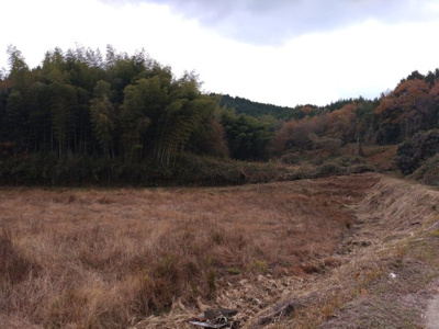 【外観】 | 柳井・伊陸