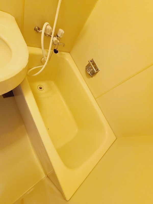 ダンディライオン西宮Ⅱの浴室