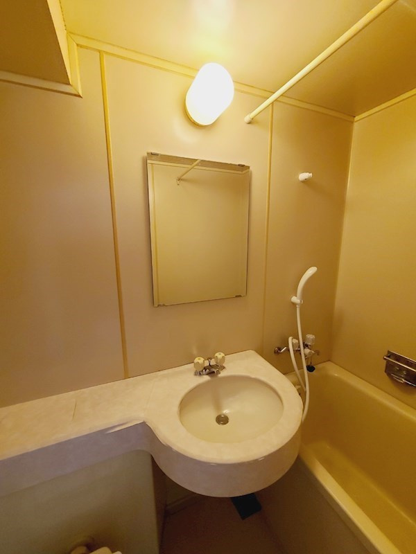 ダンディライオン西宮Ⅱの洗面所