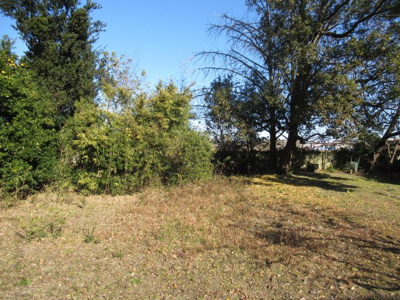 【外観】 | 熊谷市小曽根 530万 土地