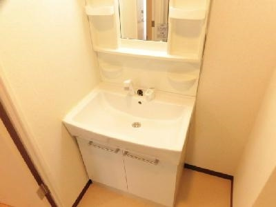 アマデウス西洞院の独立洗面台
