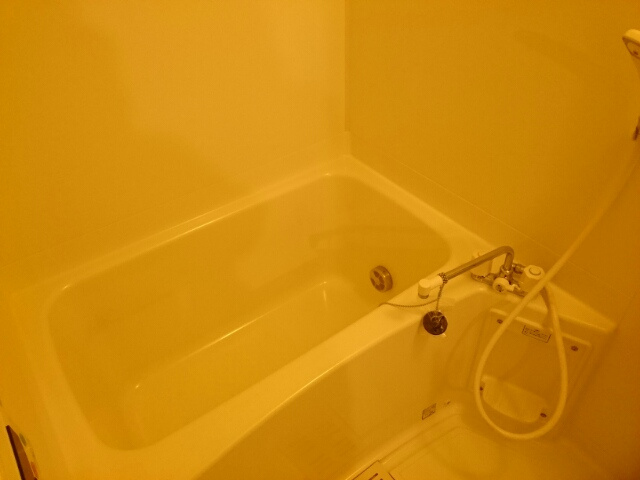 パークラビィの浴室