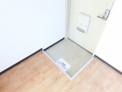 川辺ビルの玄関|同物件別部屋