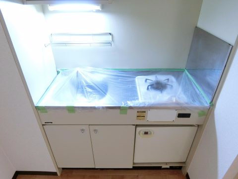 川辺ビルのキッチン|同物件別部屋