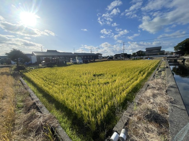 郡築一番町　売土地の周辺