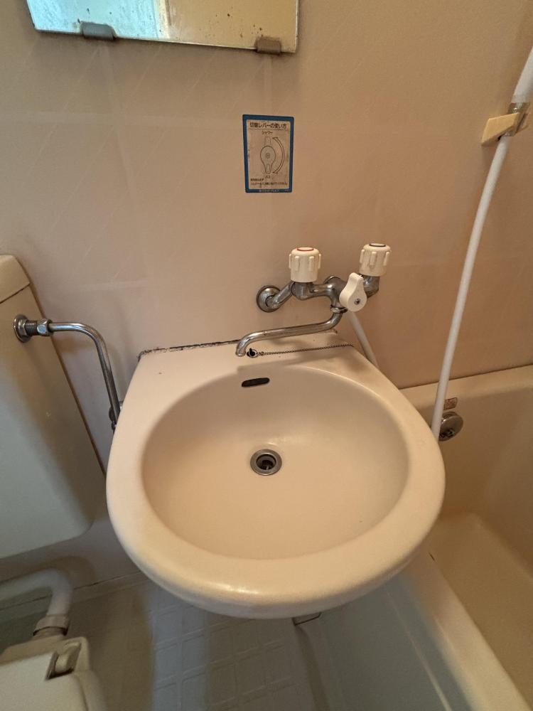 グリーンハイムきたやまの洗面所