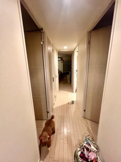 【内装】 | リベール南堀江アネックス