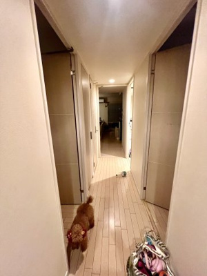 【内装】 | リベール南堀江アネックス