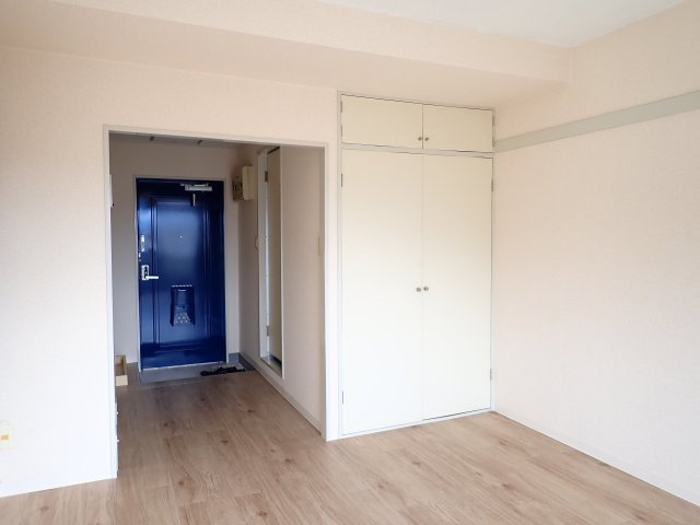 八洋八王子ビルの居間・リビング|広めのワンルームです
