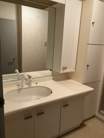 ロイヤルマンションの洗面所