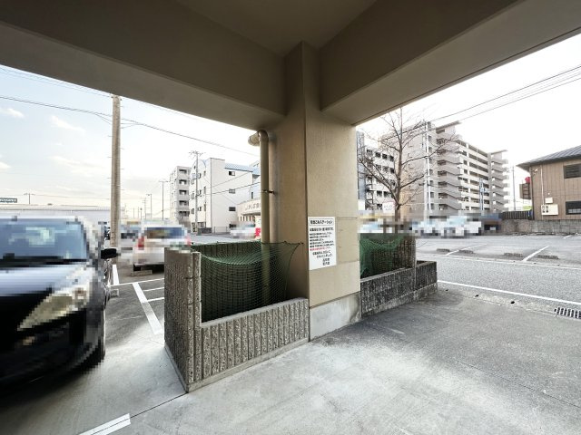 エルフィーノのその他