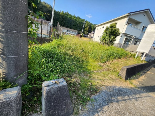 新城市長篠字今銭前のその他