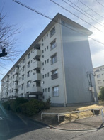 柏町住宅8号棟の画像