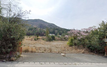 加東市上鴨川　事業用地の画像