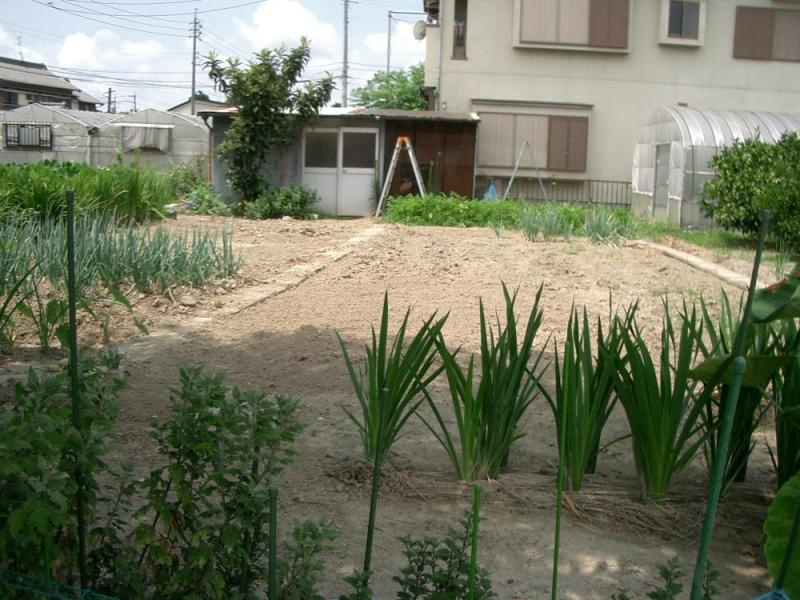 建築条件付き土地の周辺