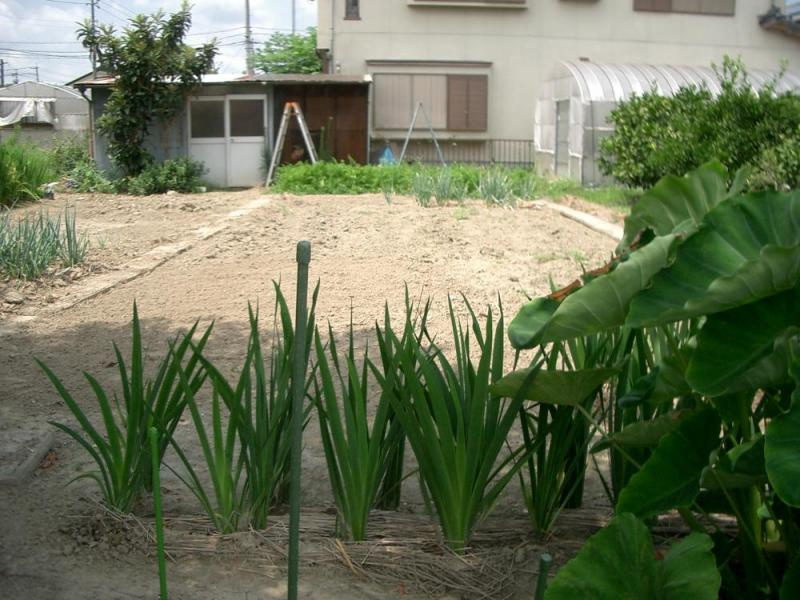 建築条件付き土地のその他