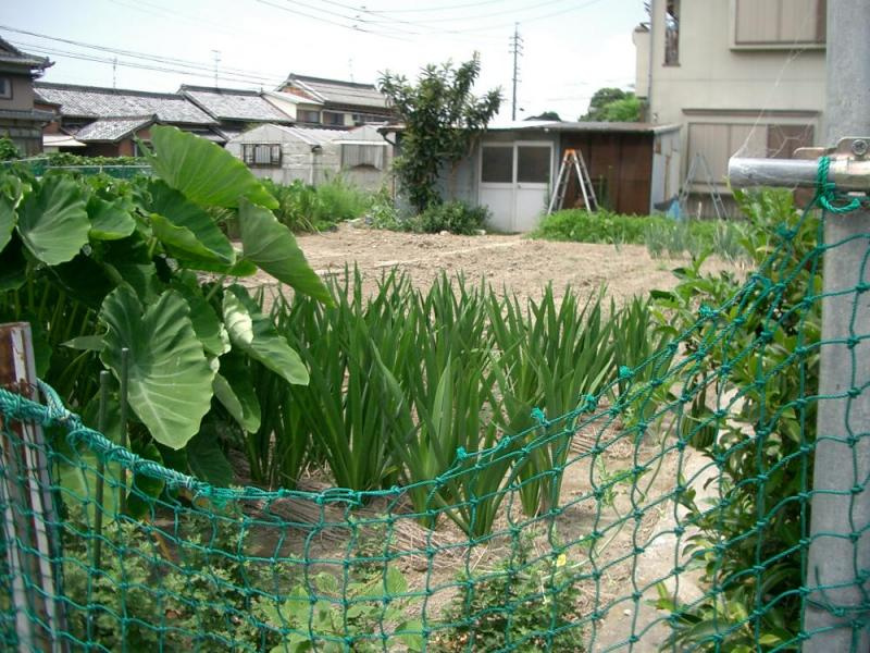 建築条件付き土地のその他