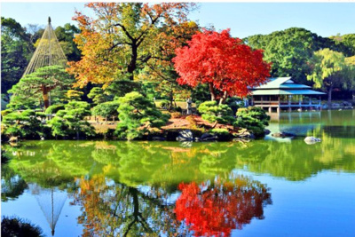 【その他】 | 清澄ハイツ | 清澄庭園