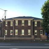 アンジェリカの画像