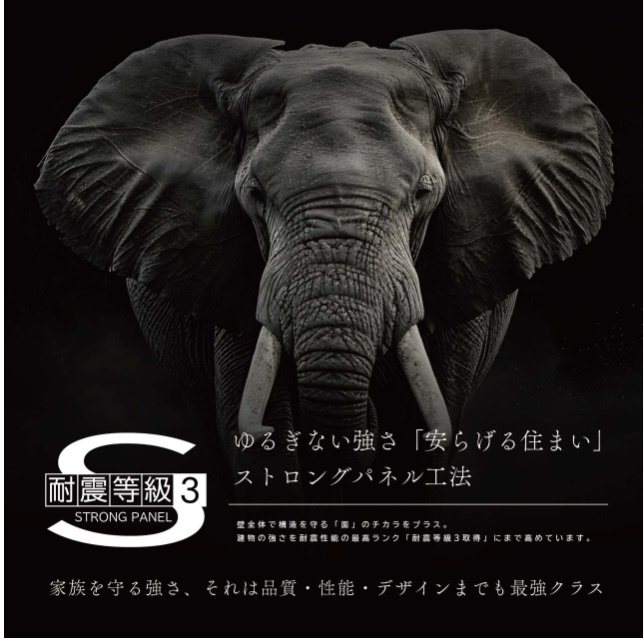 《HighRoof》和歌浦東3-2のその他