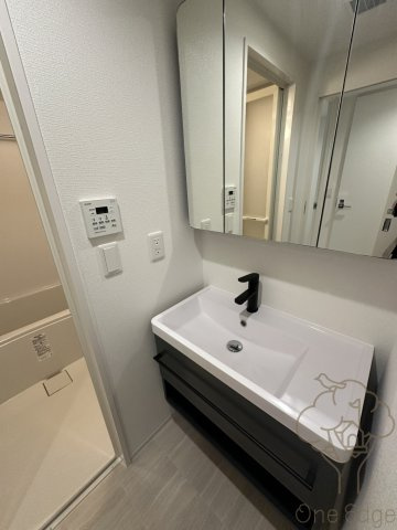 セレニテ新大阪グランデ シュッドの独立洗面台