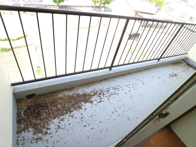 たつみビルのバルコニー