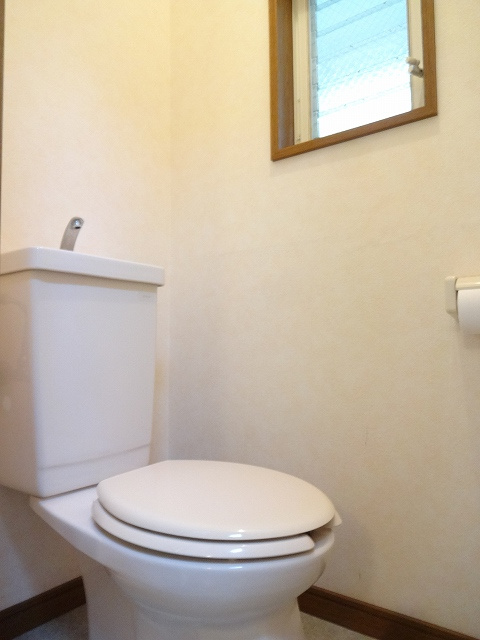 ハイムウエストのトイレ