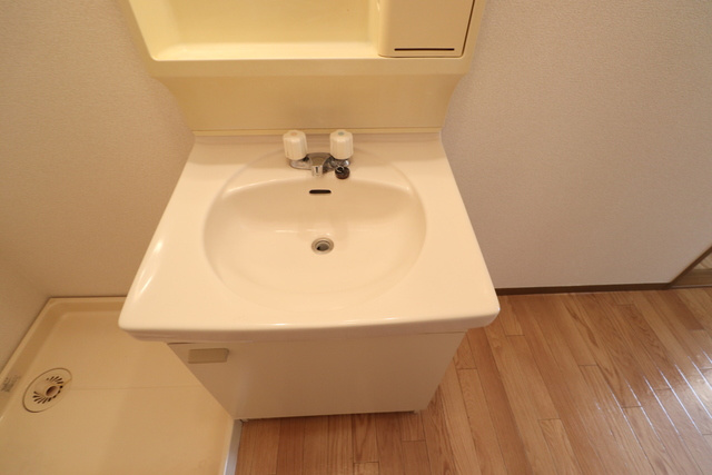 コーポ沼上Ｉの洗面所