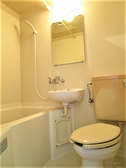 グレースヒグチの浴室