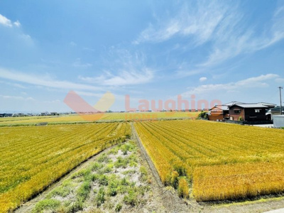 【展望】 | ローズマリーⅡ