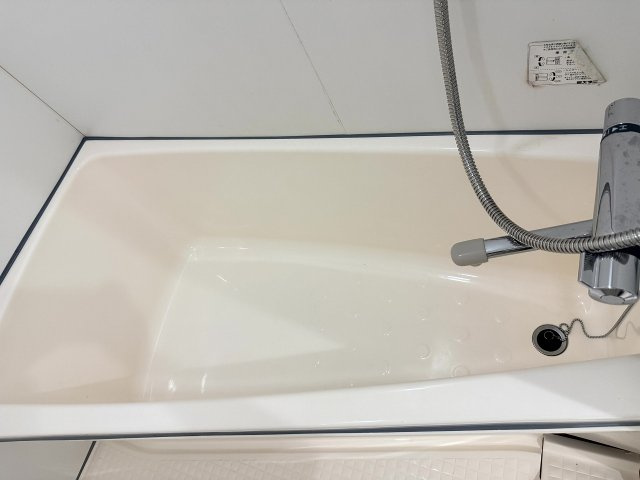 パラディッソコートの浴室