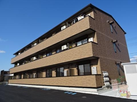 ブランドールマサ